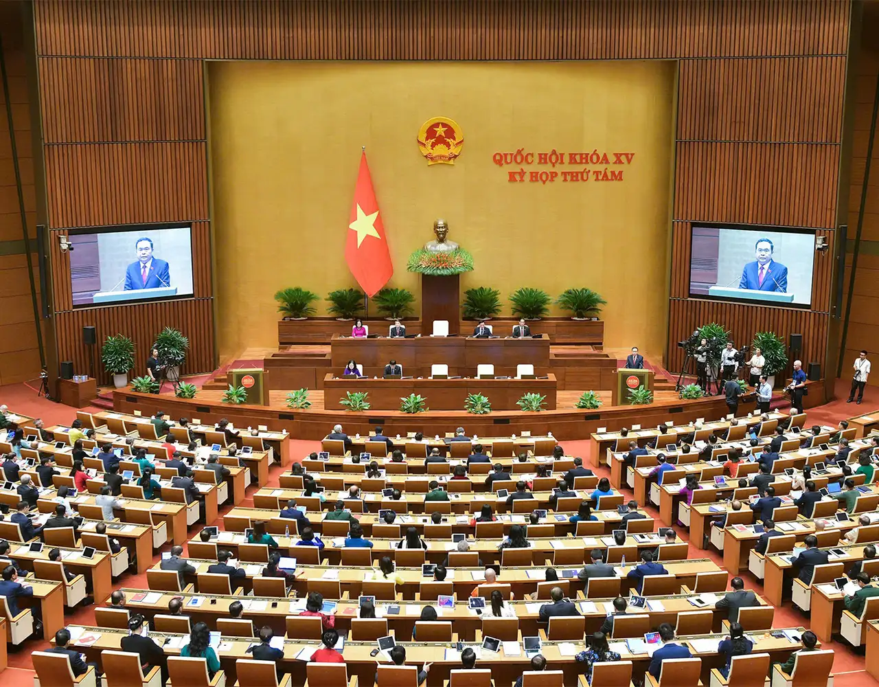 Tổ chức chính phủ